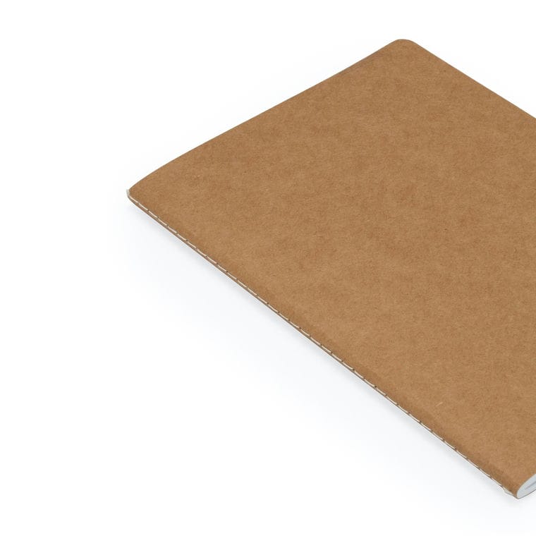 Blocnotes DANICA NEGRU