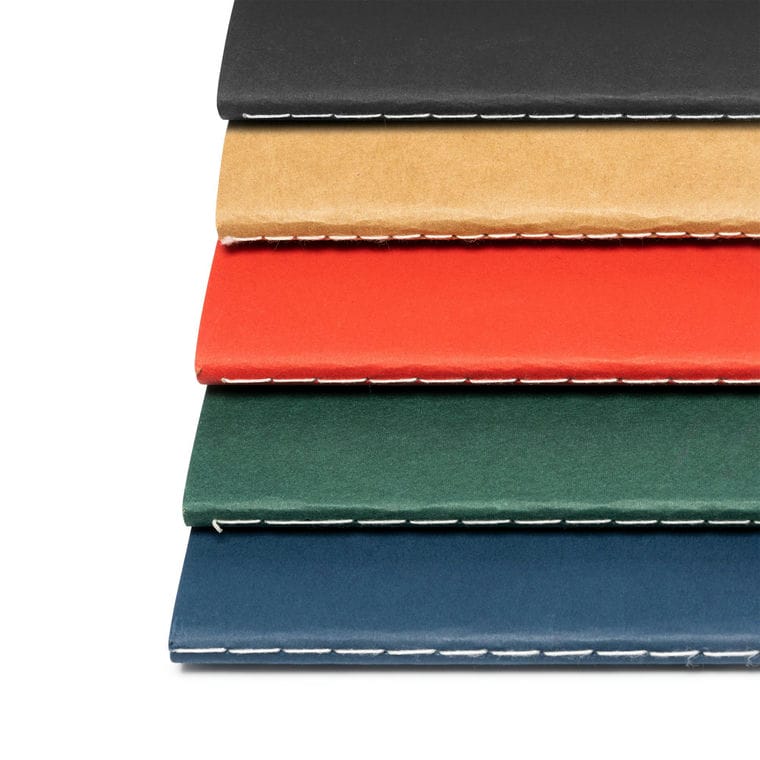 Blocnotes DANICA NEGRU