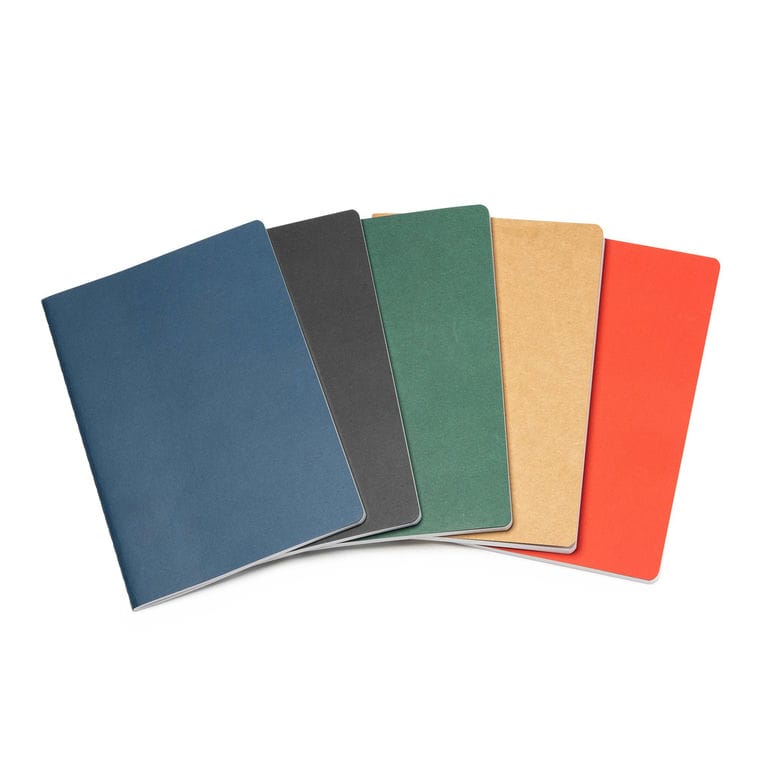 Blocnotes DANICA NEGRU