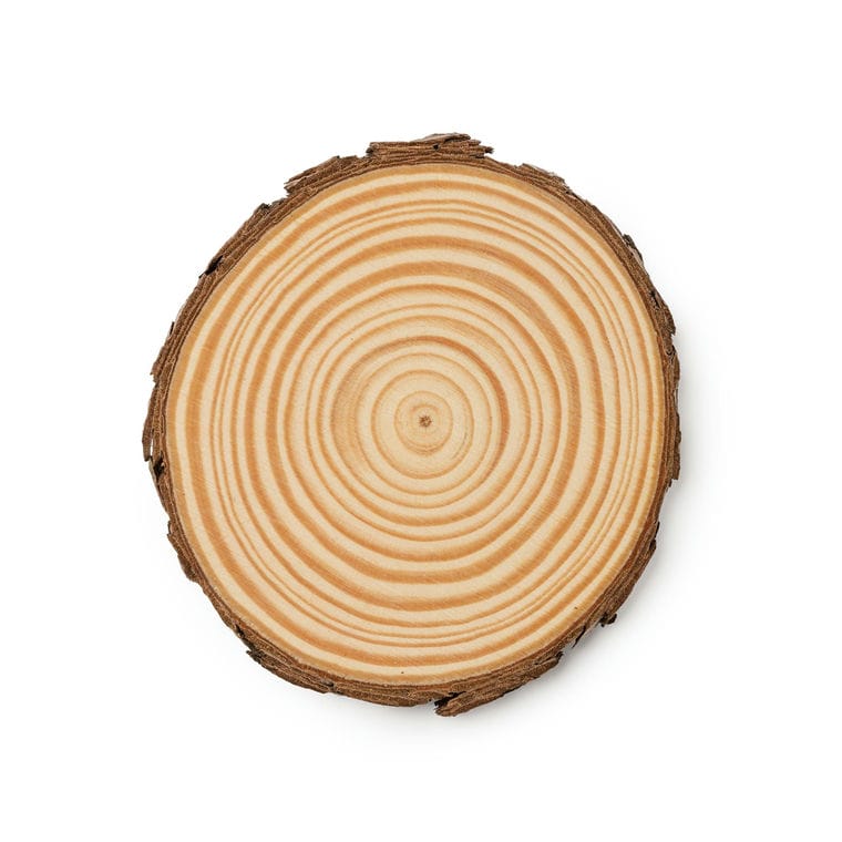Set de 4 suporturi de pahare PINEA NATURAL
