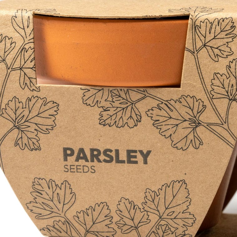 Set de două ghivece TULSY NATURAL