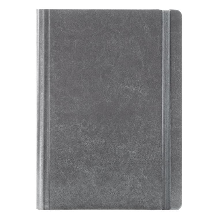 Agenda Idea Argintiu NB6