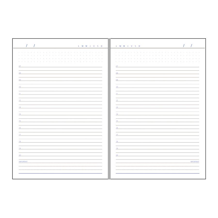 Agenda Domino Alb MB0