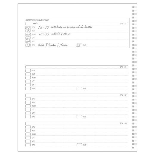 Agenda Premier Negru CV10