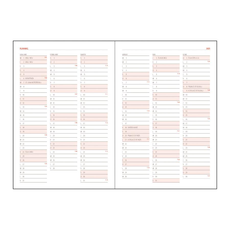 Agenda Basic Roșu BR11