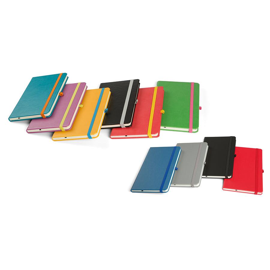 Agenda Notebook PRO  Gri NW6 - 13 x 21 cm