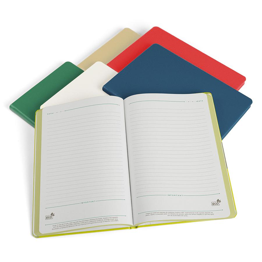 Agenda ECO Albastru MV3