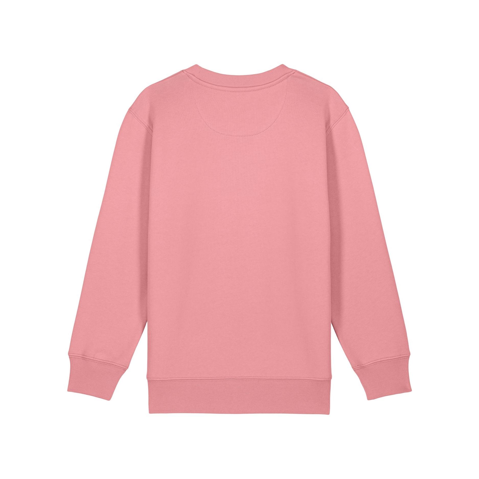 Bluză cu guler rotund pentru copii Mini Changer 2.0 Pink Joy 12 - 14 ani