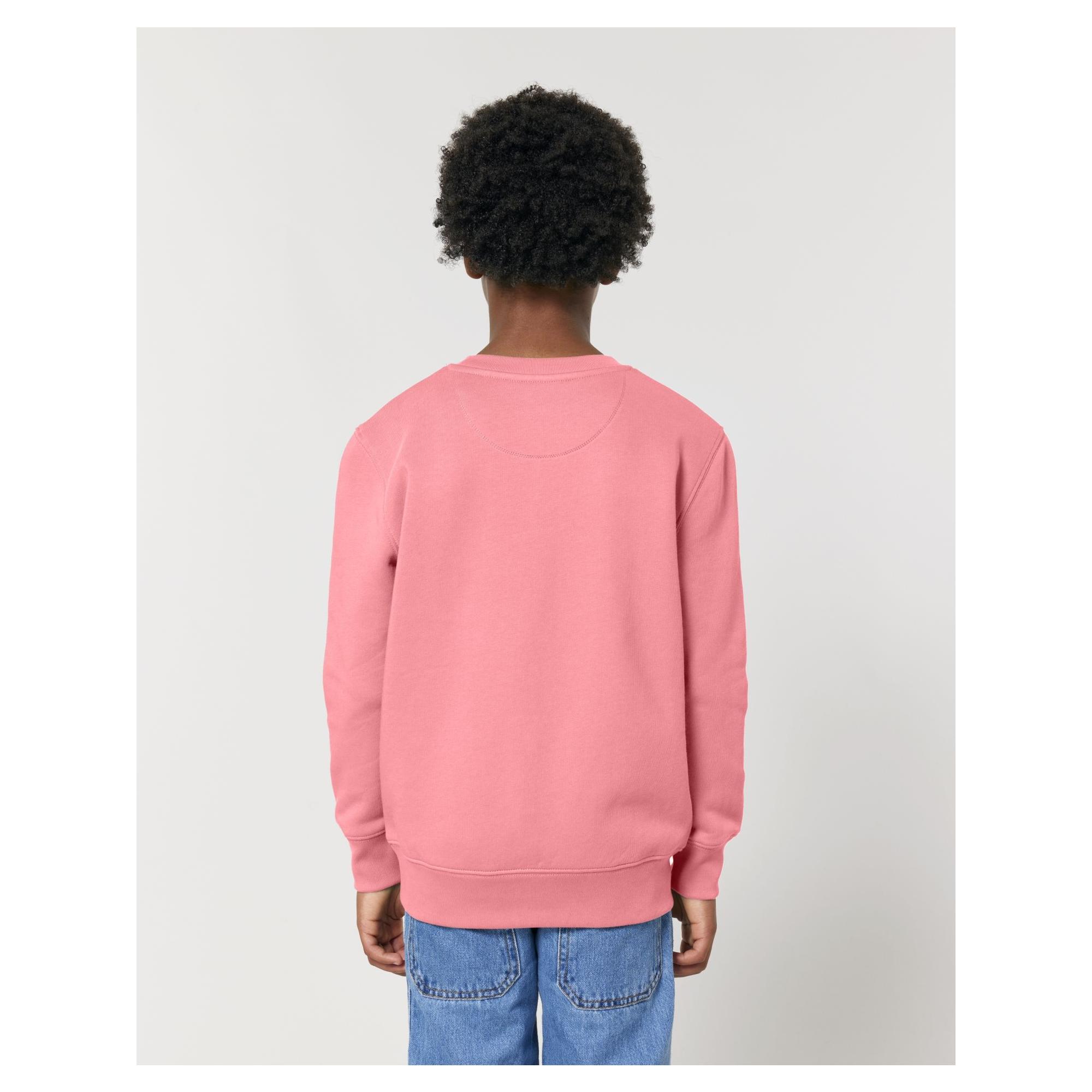 Bluză cu guler rotund pentru copii Mini Changer 2.0 Pink Joy 12 - 14 ani