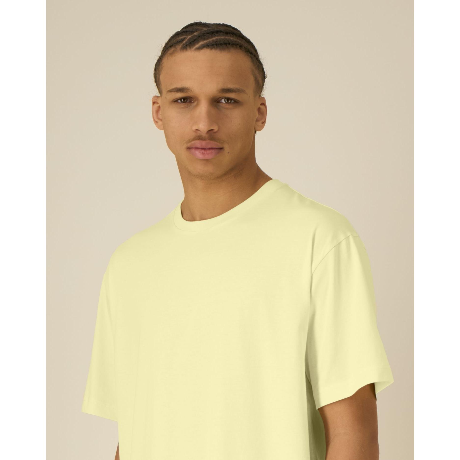 Tricouri unisex Breezer Lemon Sorbet 3XL