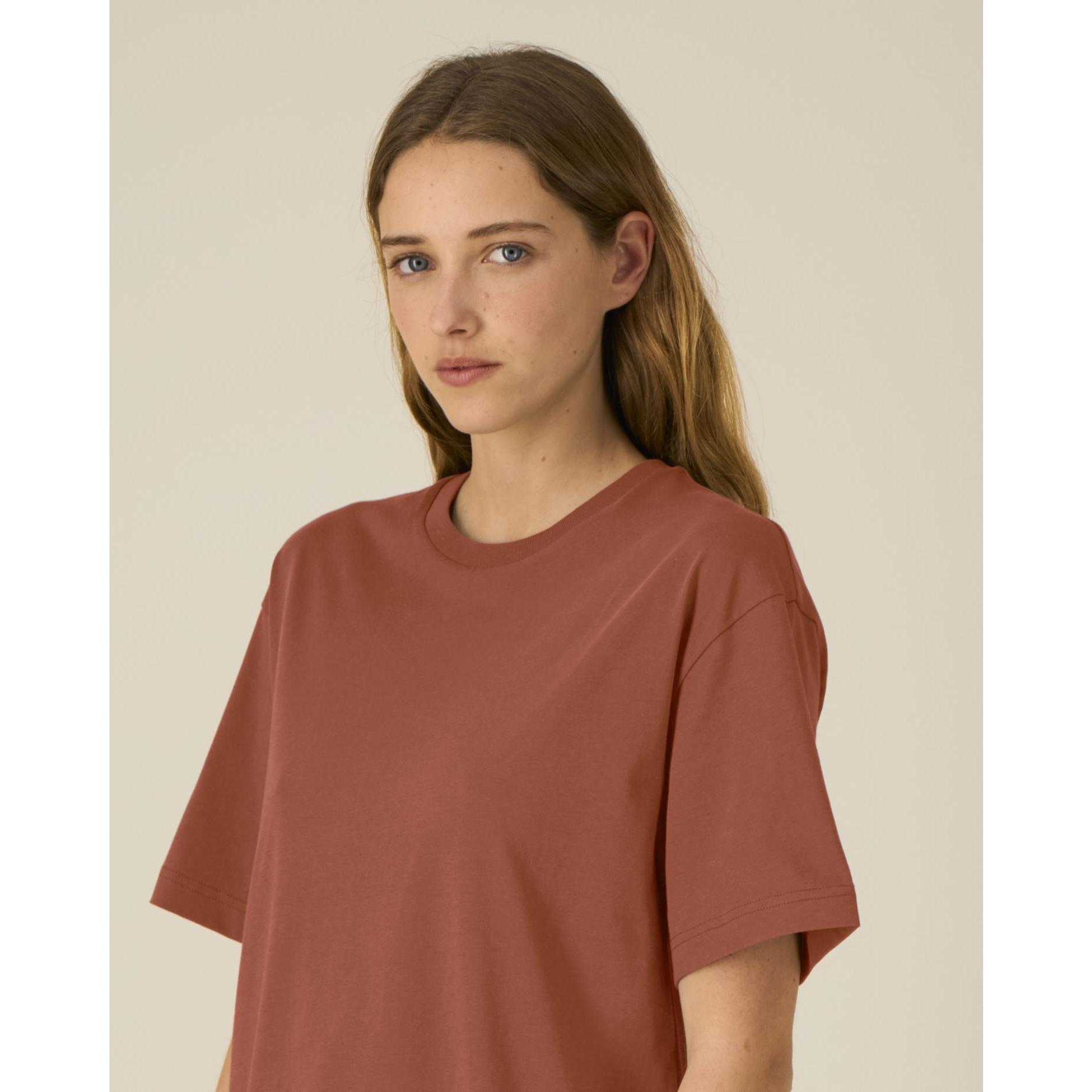 Tricouri unisex Breezer Heritage Brown 3XL