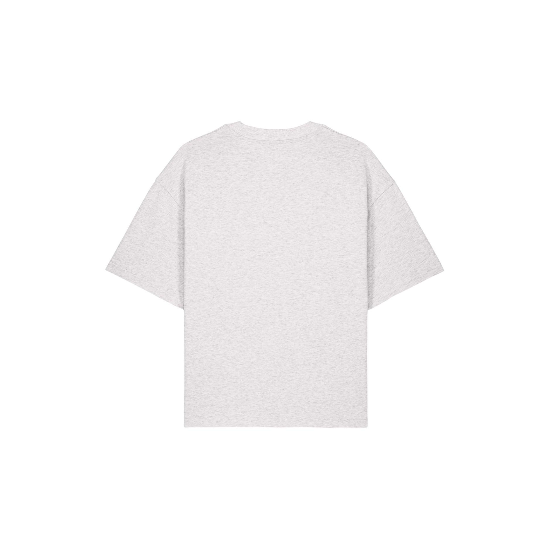 Tricouri unisex Asher Cool Heather Grey 3XL