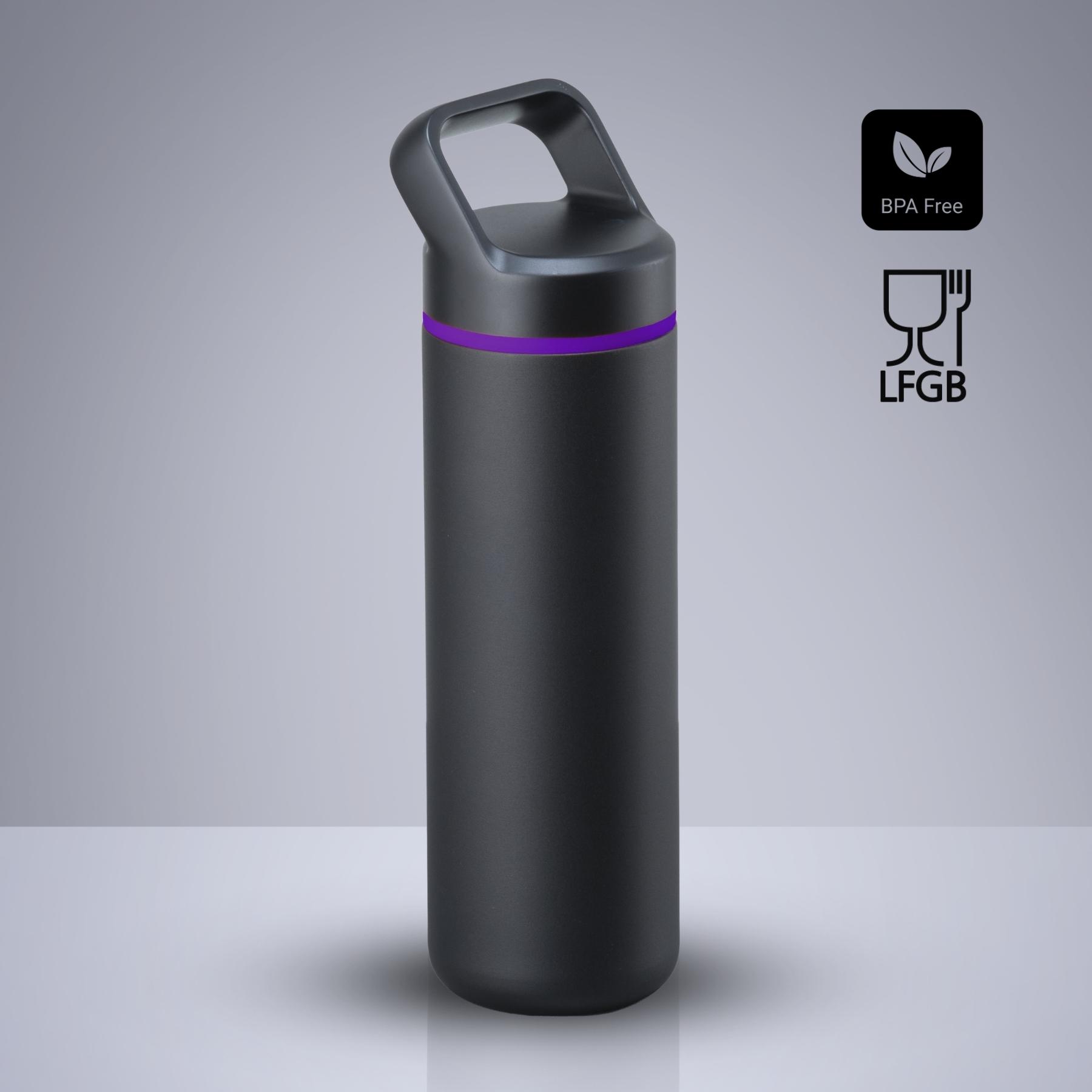 Sticlă din oțel pentru apă Expedition cu strat de cupru, 650 ml