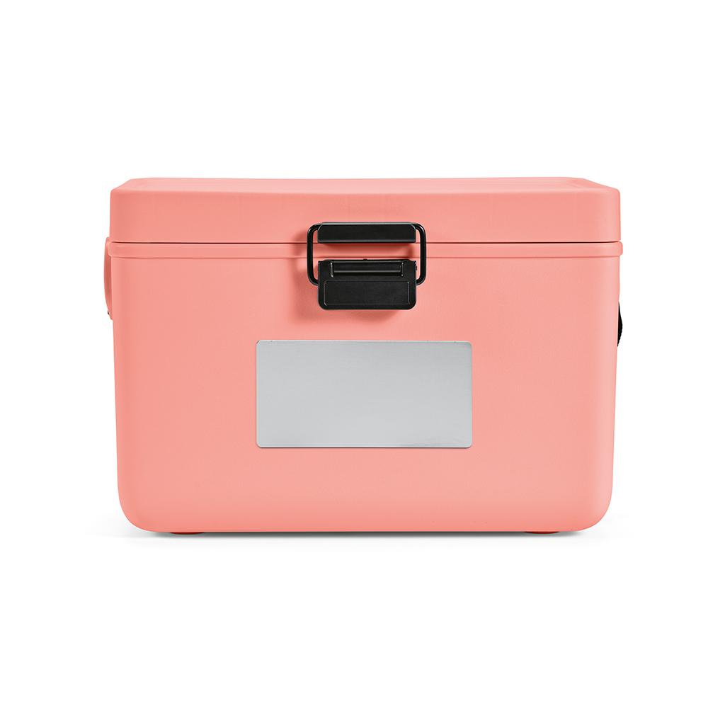 Răcitor Bangkok Salmon