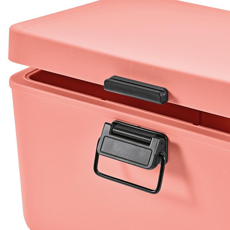 Răcitor Bangkok Salmon