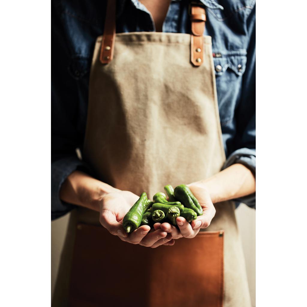 Șorț VINGA Asado tan