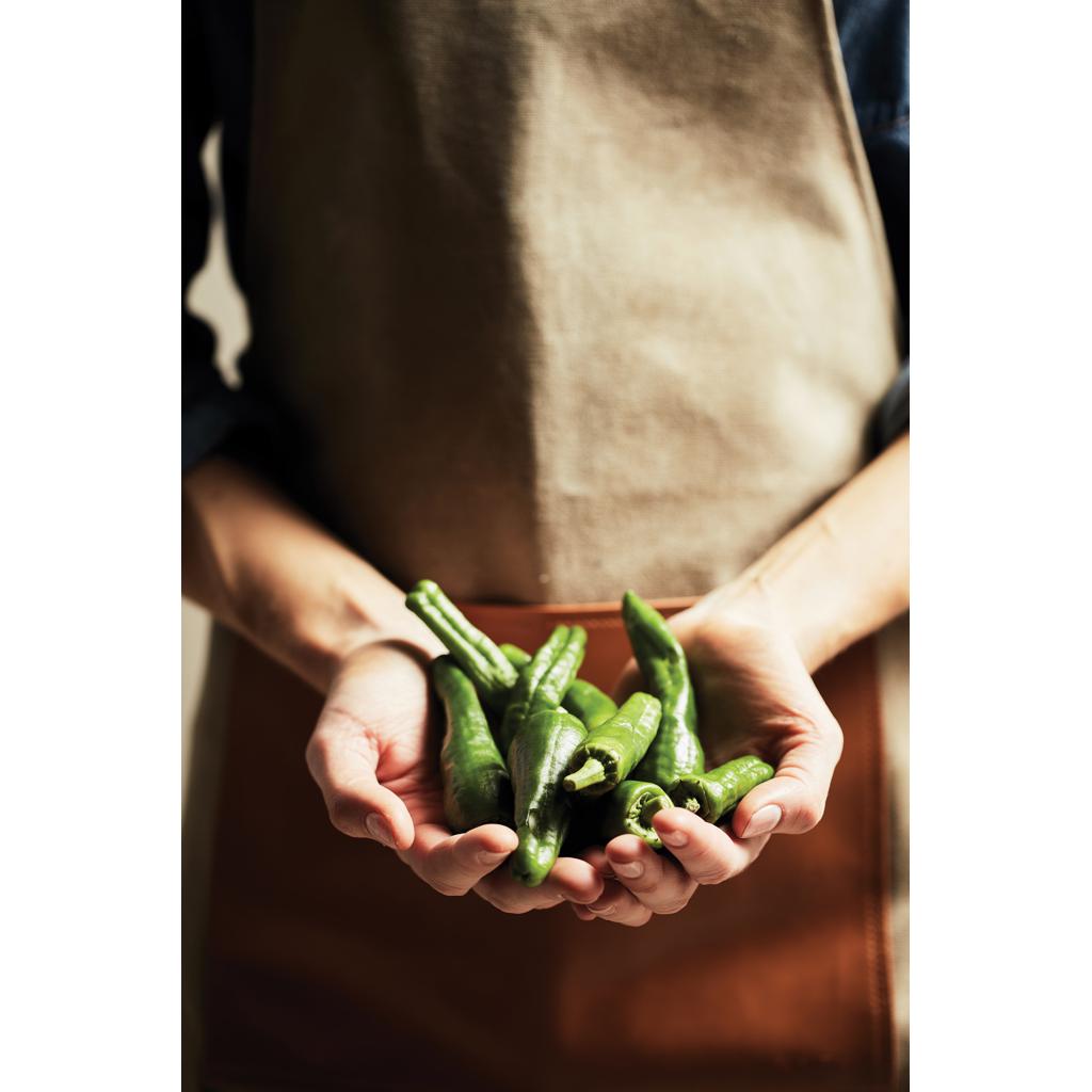 Șorț VINGA Asado tan