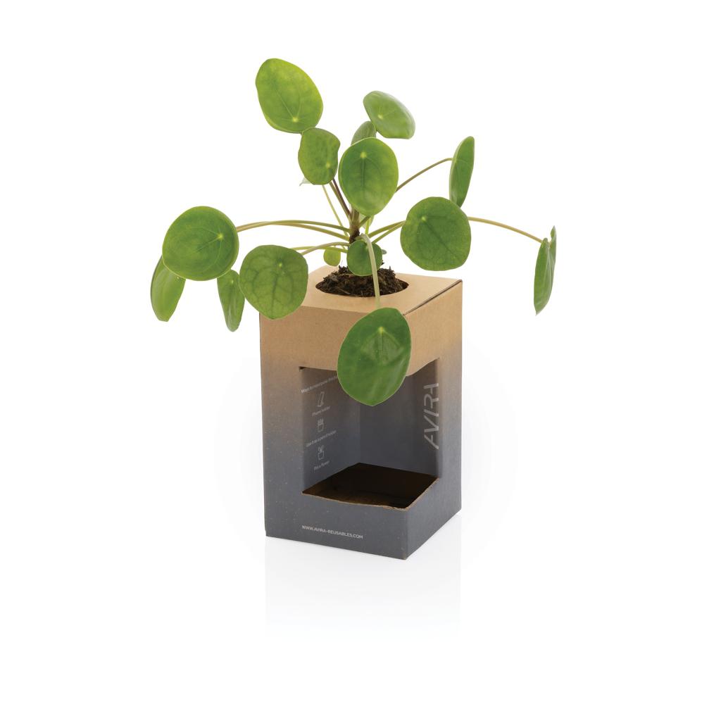 Pahar Re-steel RCS, 300ml Avira Alya black