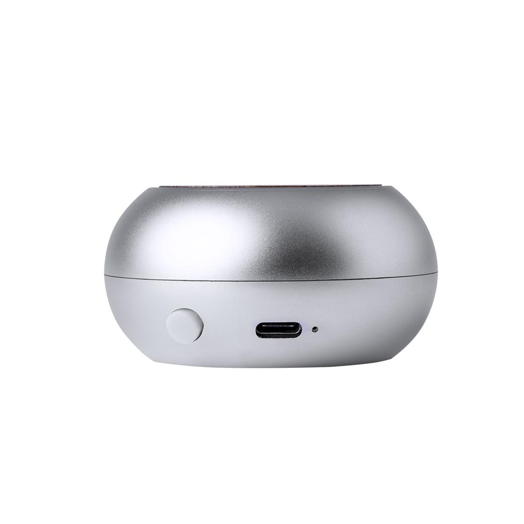 Boxă audio Hiwent argintiu