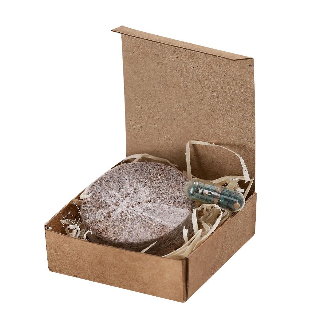 Pachet cu semințe Aquael natural