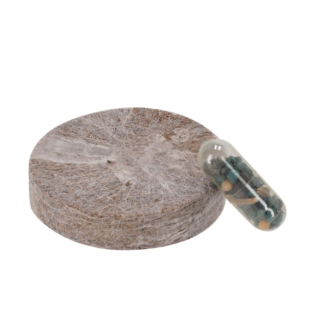 Pachet cu semințe Aquael natural