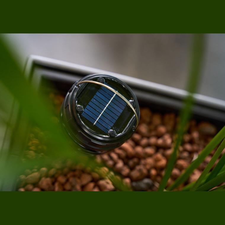 Lampă solară anti-țânțari Wigan Negru