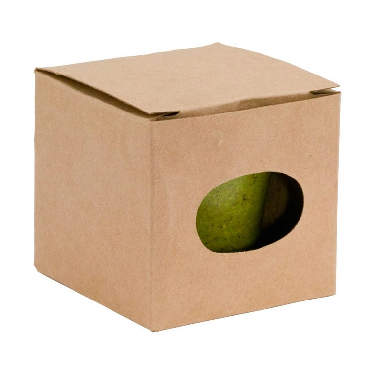 Ghiveci Petunia verde deschis