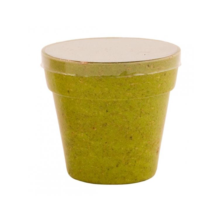 Ghiveci Petunia verde deschis