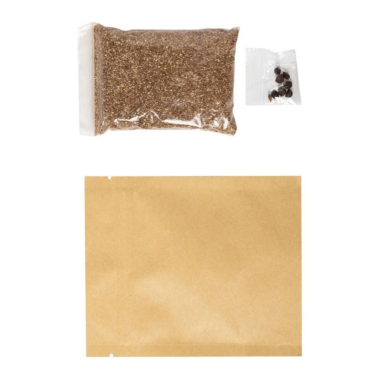 Kit de plantat flori Sober bej