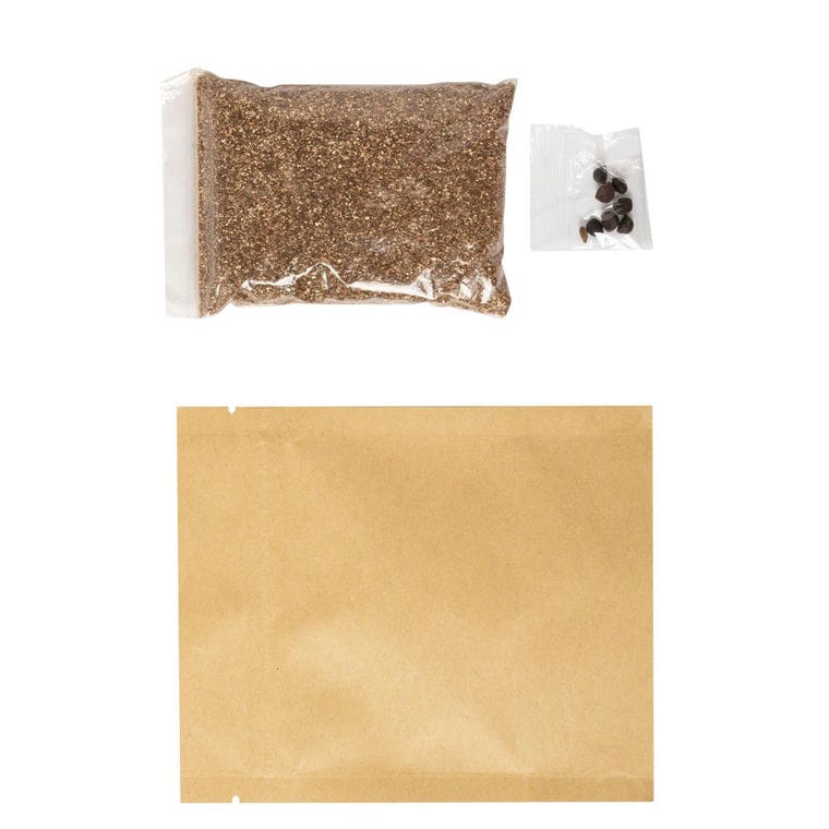 Kit de plantat flori Sober bej