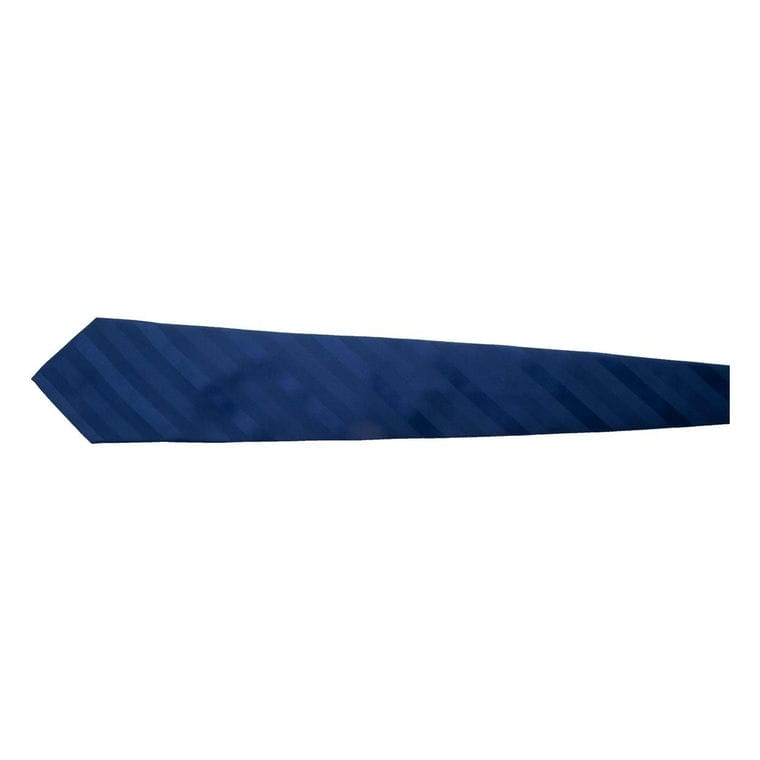 Cravată Stripes Albastru