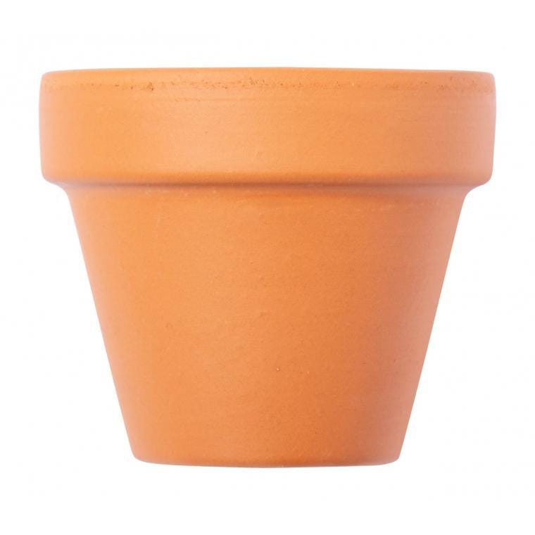 Ghiveci Soltax natural