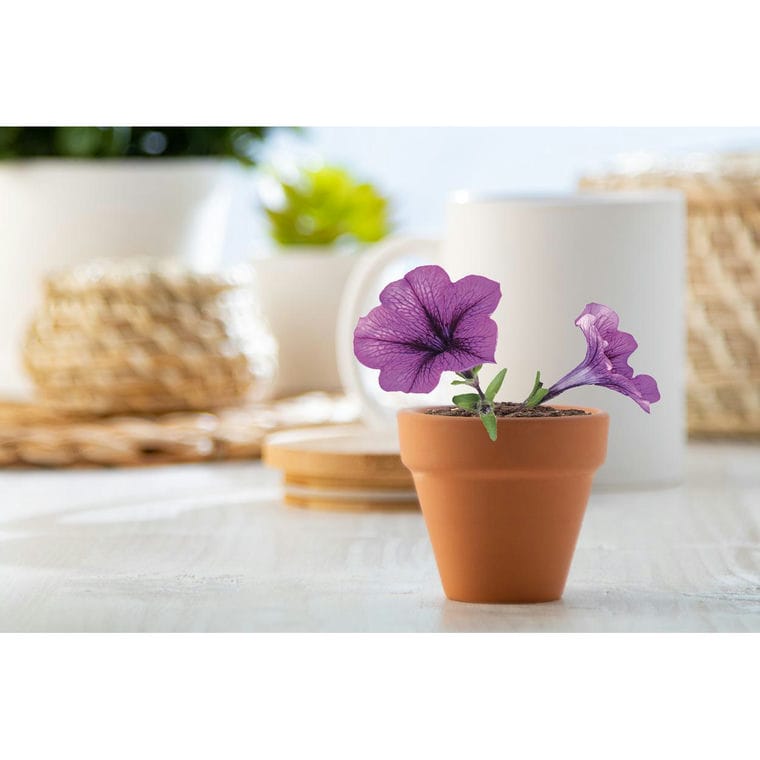 Ghiveci Soltax natural