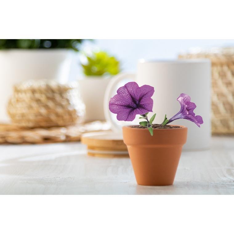 Ghiveci Soltax natural