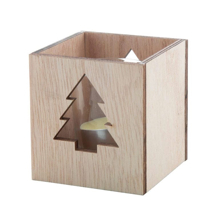 Lumânare de Crăciun, copac Keylax natural