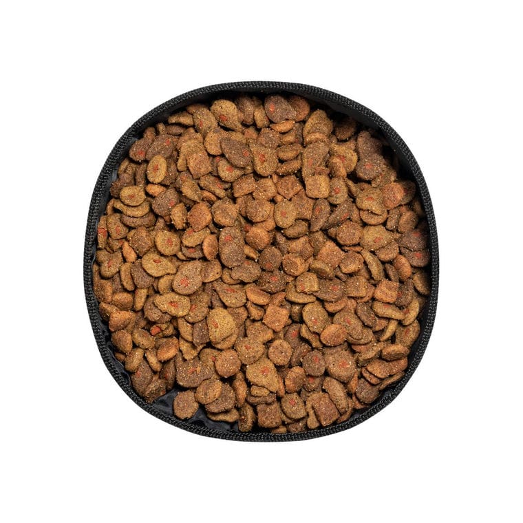 Castron pentru câini Poppy natural