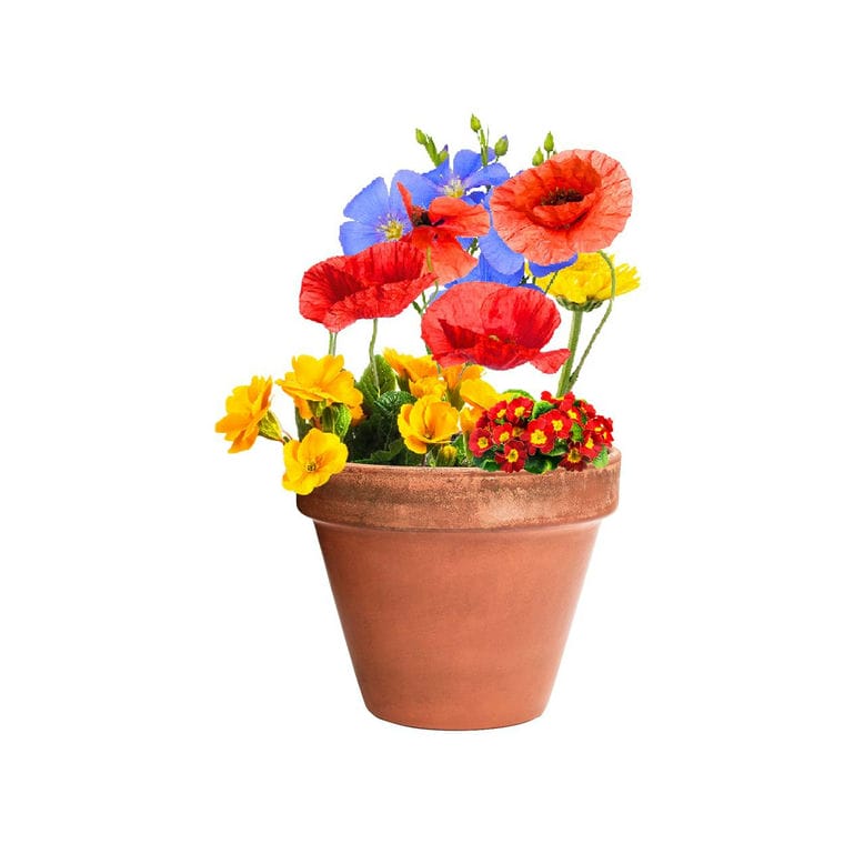 Minge cu seminte de flori Flobba natural