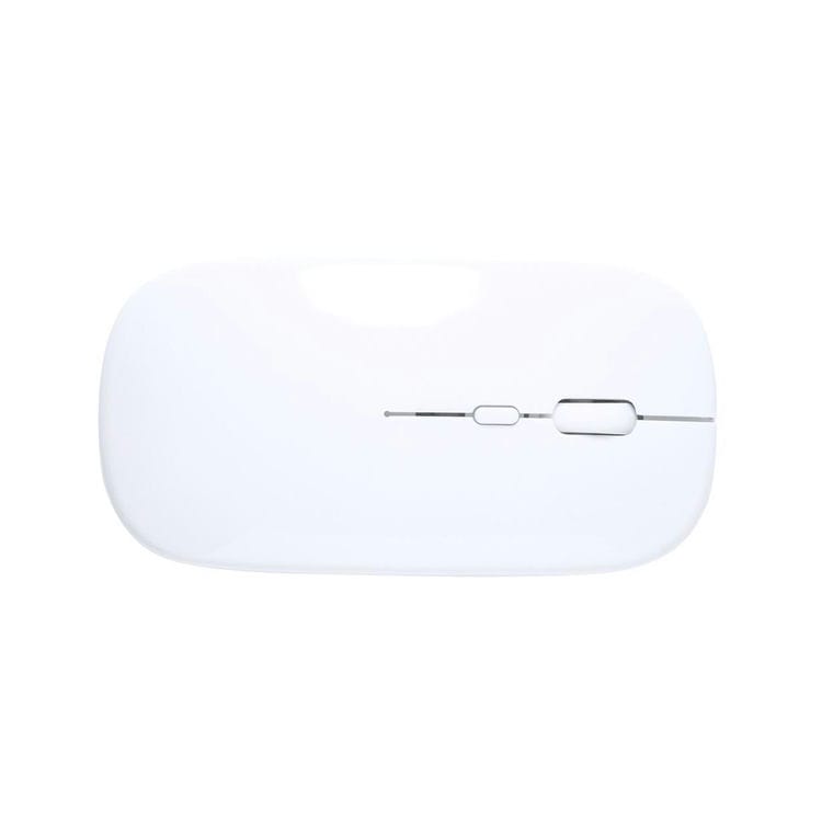 Mouse optic RABS Rabick Alb