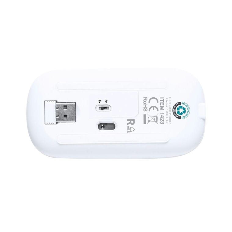 Mouse optic RABS Rabick Alb