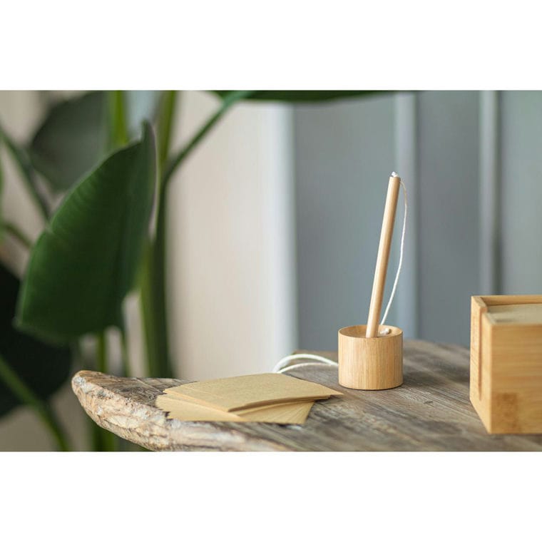 Pix pentru recepție Reppoo natural