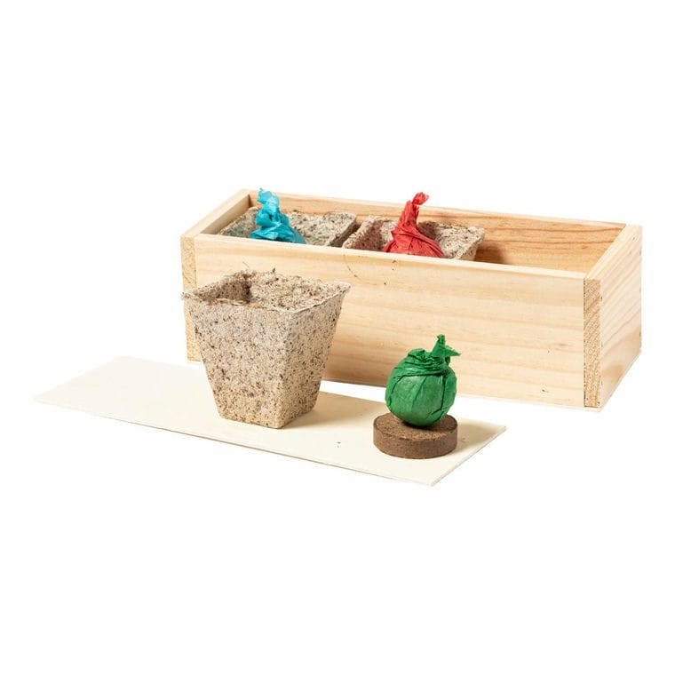 Kit de cultivare a plantelor Mendrax natural