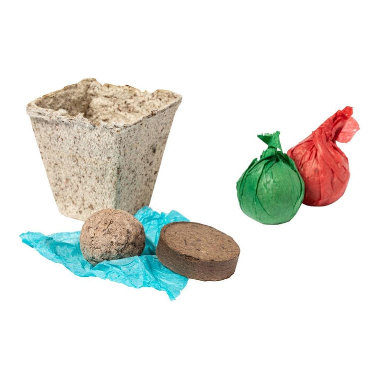 Kit de cultivare a plantelor Mendrax natural