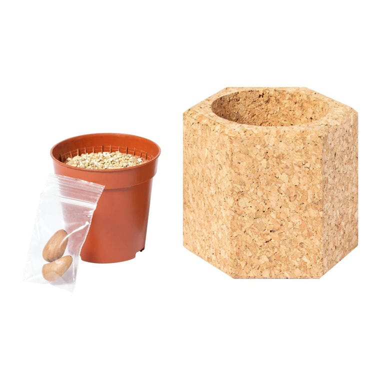 Ghiveci de flori Gulytel natural