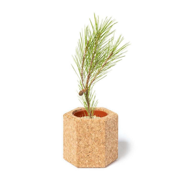 Ghiveci de flori Gulytel natural