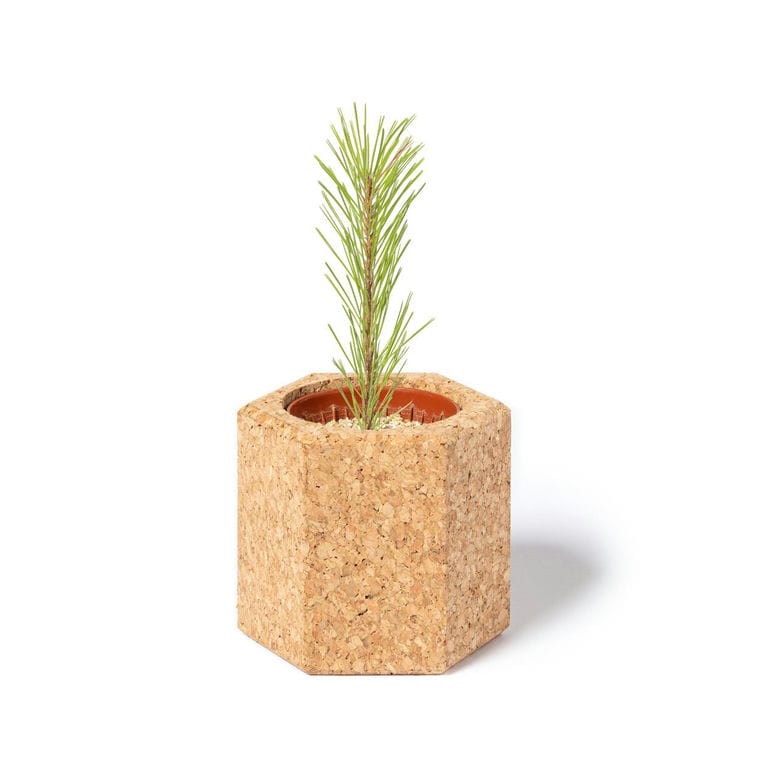 Ghiveci de flori Gulytel natural