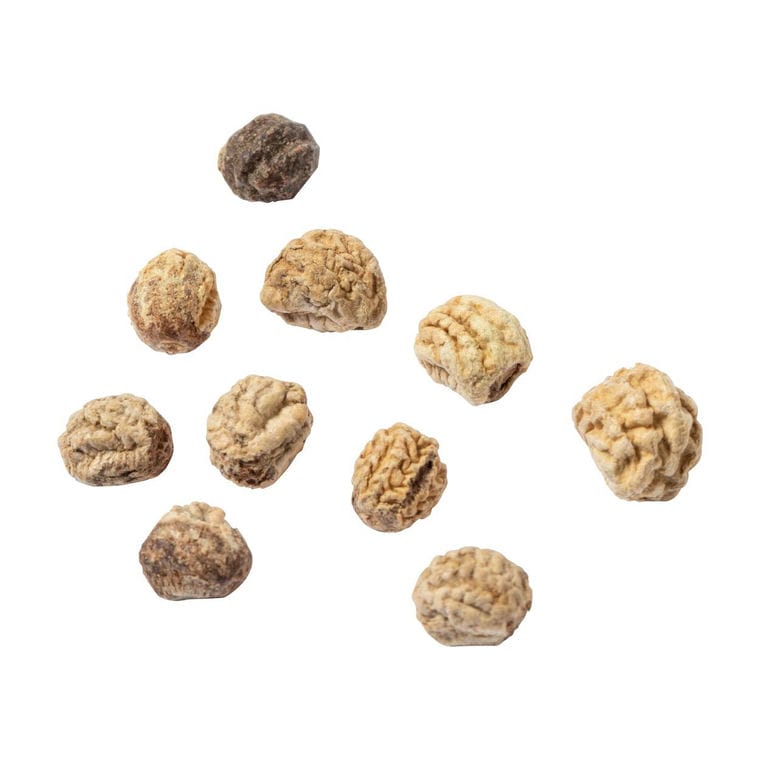 Kit de plantare a florilor Halors natural