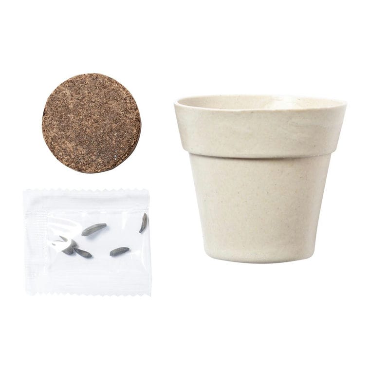 Ghiveci Tumil natural