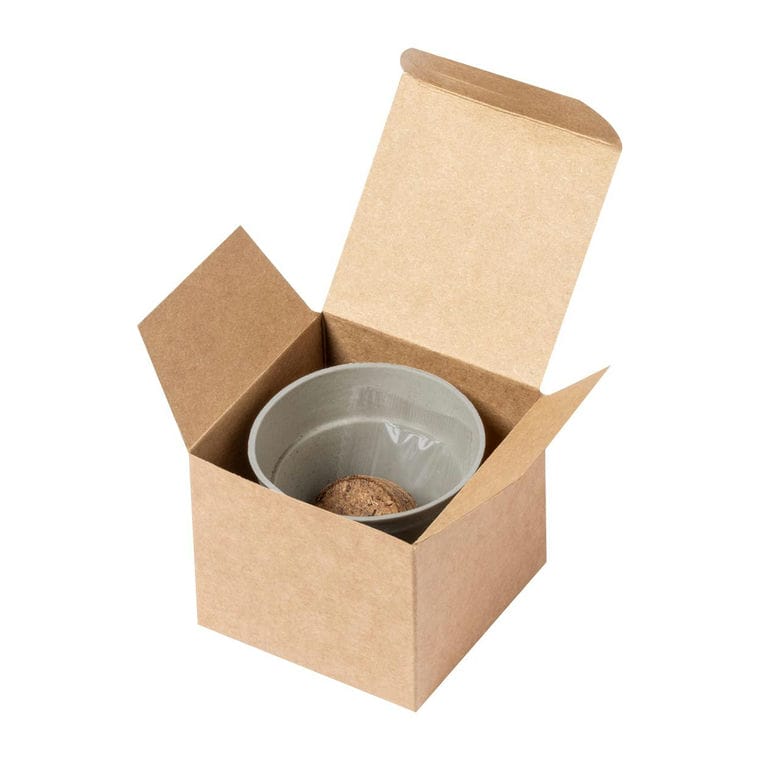 Ghiveci Tumil natural