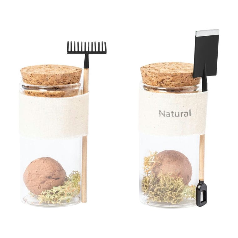 Kit de plantat flori, cu greblă Winsu