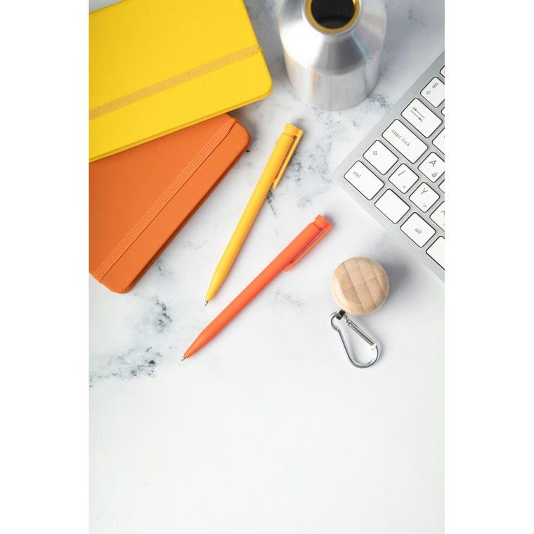 Pix RABS Raguar portocaliu